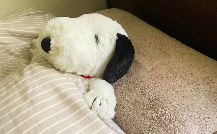 スヌーピーがベッドで寝ている様子